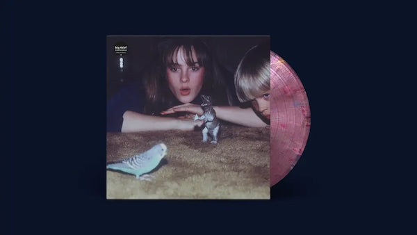 
                  
                    Load image into Gallery viewer, Big Thief - Masterpiece (2023 Edition)
                  
                