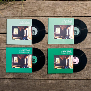 
                  
                    Load image into Gallery viewer, Nick Drake - The Making Of Five Leaves Left
                  
                