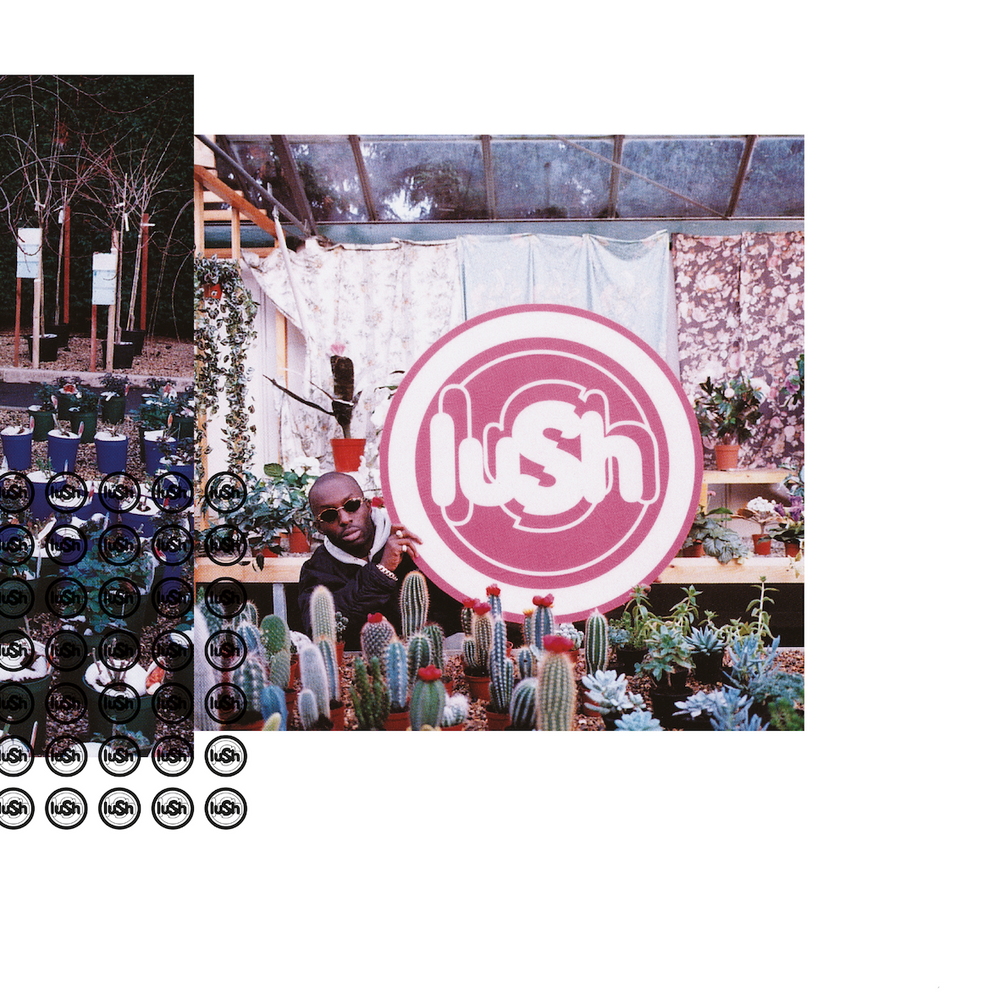 
                  
                    Load image into Gallery viewer, Lush - Lovelife (2023 Remaster)
                  
                