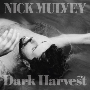 
                  
                    Load image into Gallery viewer, Nick Mulvey - Dark Harvest Pt.1
                  
                