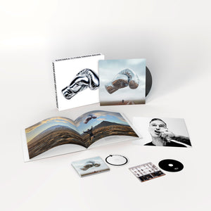 
                  
                    Load image into Gallery viewer, Bryan Adams - Roll With The Punches
                  
                
