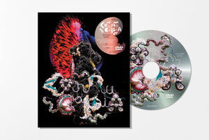 
                  
                    Load image into Gallery viewer, Bjork - Cornucopia Live
                  
                