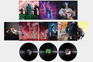 
                  
                    Load image into Gallery viewer, Bjork - Cornucopia Live
                  
                