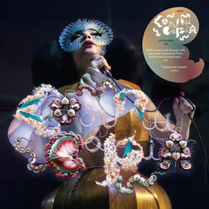 
                  
                    Load image into Gallery viewer, Bjork - Cornucopia Live
                  
                