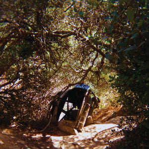 
                  
                    Load image into Gallery viewer, Ty Segall - Possession
                  
                