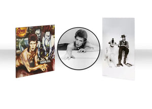 
                  
                    Load image into Gallery viewer, David Bowie - Diamond Dogs (50th Anniversary Edition)
                  
                