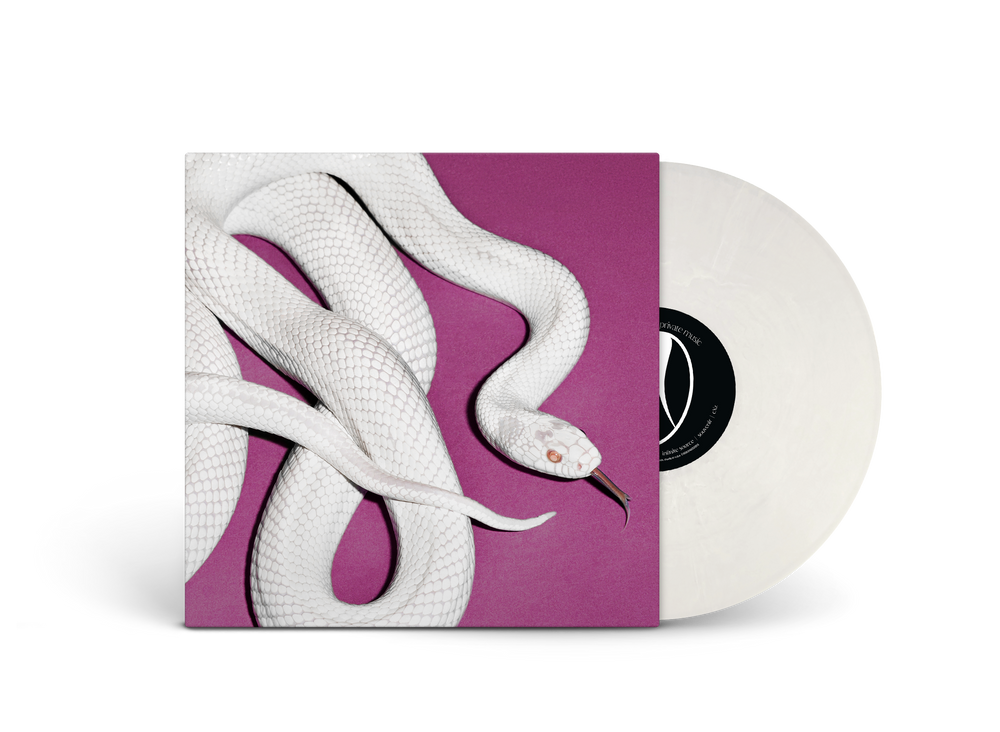 
                  
                    Load image into Gallery viewer, Deftones - private music
                  
                