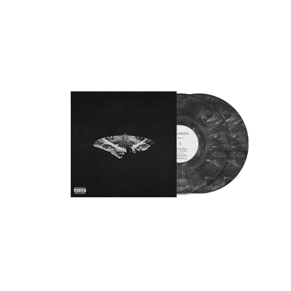 
                  
                    Load image into Gallery viewer, Kendrick Lamar - To Pimp A Butterfly (10th Anniversary Edition)
                  
                