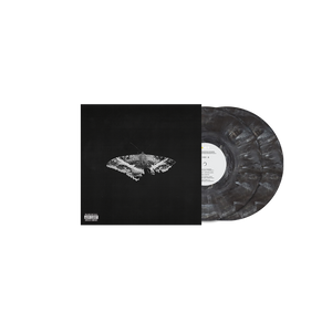 
                  
                    Load image into Gallery viewer, Kendrick Lamar - To Pimp A Butterfly (10th Anniversary Edition)
                  
                