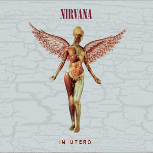
                  
                    Load image into Gallery viewer, Nirvana - In Utero 30th Anniversary
                  
                