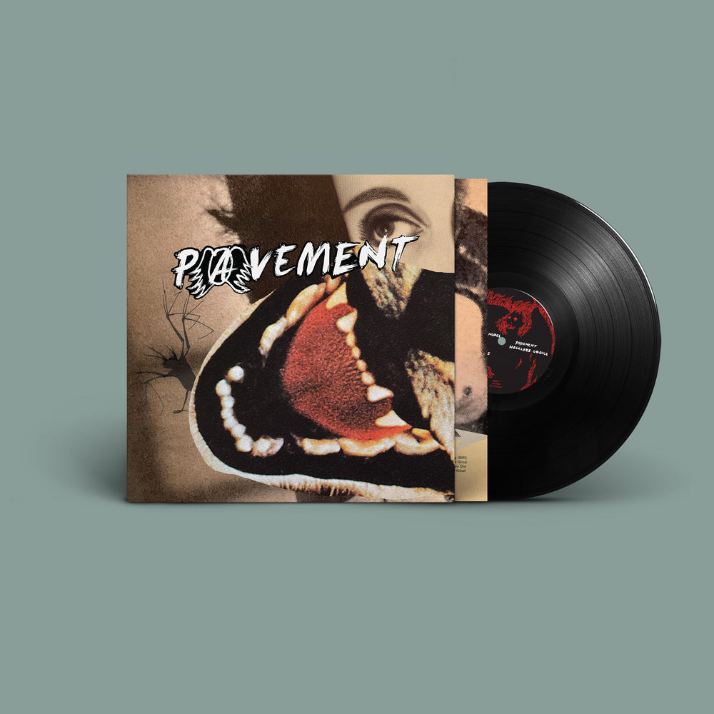 
                  
                    Load image into Gallery viewer, Pavement - Hecklers Choice: Big Gums and Heavy Lifters - A Pavement Collection
                  
                