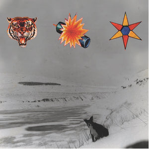 
                  
                    Load image into Gallery viewer, The Beta Band - The Three EPs (2025 Repress)
                  
                