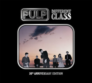 
                  
                    Load image into Gallery viewer, Pulp - Different Class 30
                  
                