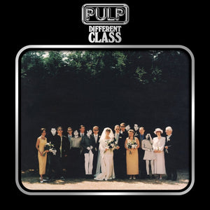 
                  
                    Load image into Gallery viewer, Pulp - Different Class 30
                  
                