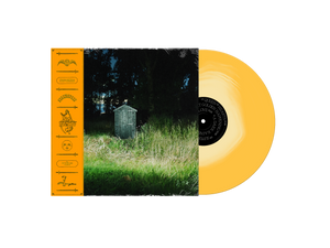 
                  
                    Load image into Gallery viewer, Frank Carter and The Rattlesnakes - Dark Rainbow
                  
                
