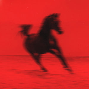 
                  
                    Load image into Gallery viewer, Red Rum Club - Buck
                  
                