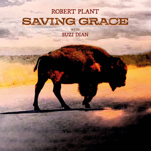
                  
                    Load image into Gallery viewer, Robert Plant - Saving Grace
                  
                