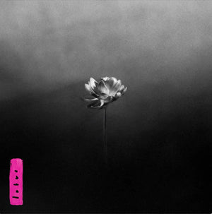 
                  
                    Load image into Gallery viewer, Little Simz - Lotus
                  
                