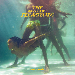 
                  
                    Load image into Gallery viewer, Janelle Monae - The Age Of Pleasure
                  
                