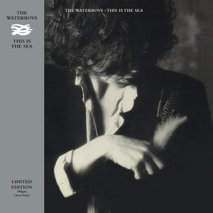 
                  
                    Load image into Gallery viewer, The Waterboys - This Is The Sea (2024 Repress)
                  
                