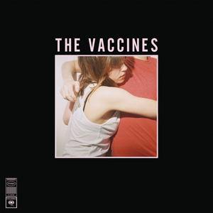 
                  
                    Load image into Gallery viewer, The Vaccines - What Did You Expect From (National Album Day 2025 Re-Issue)
                  
                