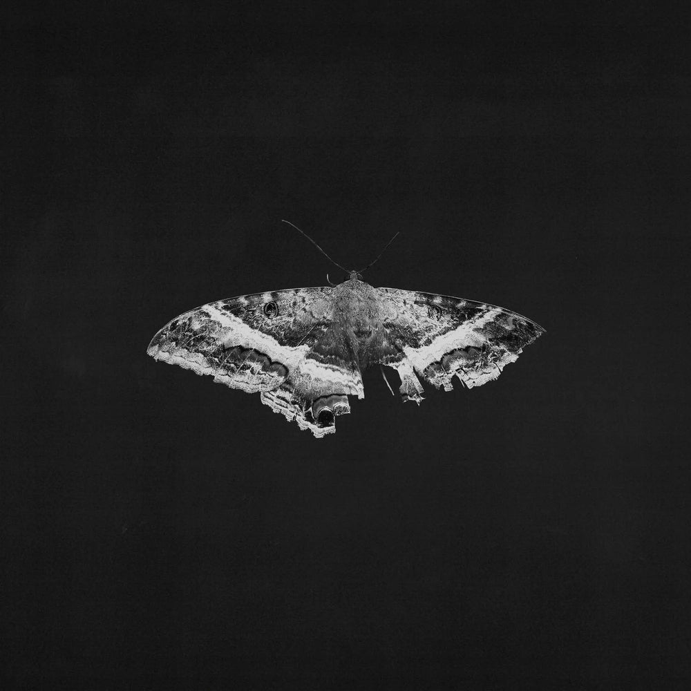 Kendrick Lamar - To Pimp A Butterfly (10th Anniversary Edition)