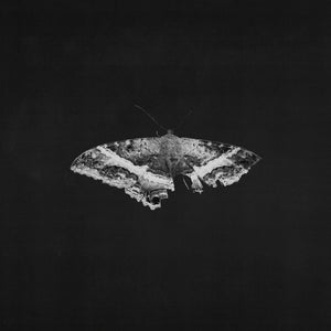 
                  
                    Load image into Gallery viewer, Kendrick Lamar - To Pimp A Butterfly (10th Anniversary Edition)
                  
                