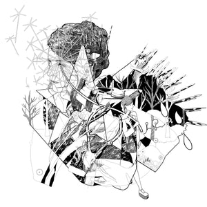 
                  
                    Load image into Gallery viewer, Jesca Hoop - Selective Memory
                  
                
