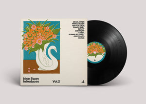 
                  
                    Load image into Gallery viewer, Various Artists - Nice Swan Introduces Vol.2
                  
                