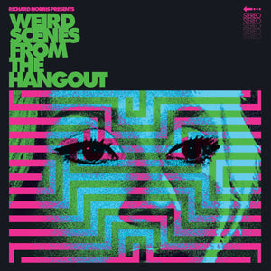 
                  
                    Load image into Gallery viewer, Various Artists - Richard Norris Presents -  Weird Scenes From The Hangout
                  
                