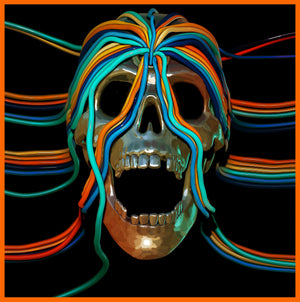 
                  
                    Load image into Gallery viewer, Osees - Intercepted Message
                  
                