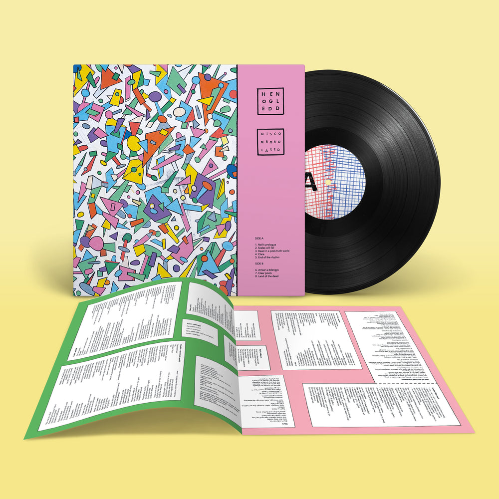 
                  
                    Load image into Gallery viewer, Hen Ogledd - DISCOMBOBULATED
                  
                