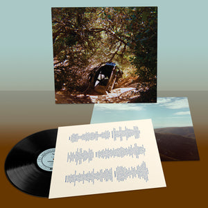 
                  
                    Load image into Gallery viewer, Ty Segall - Possession
                  
                