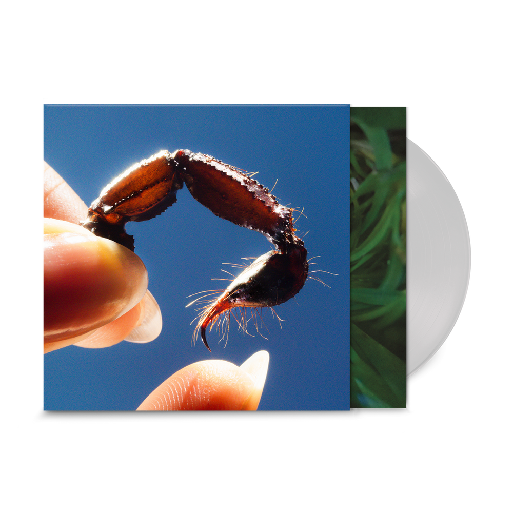 
                  
                    Load image into Gallery viewer, Squid - Cowards
                  
                