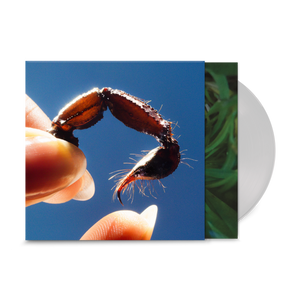 
                  
                    Load image into Gallery viewer, Squid - Cowards
                  
                