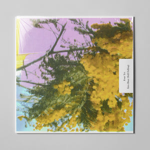 
                  
                    Load image into Gallery viewer, Four Tet - Into Dust (Still Falling)
                  
                