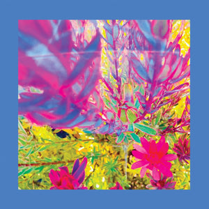
                  
                    Load image into Gallery viewer, The Reds Pinks and Purples - The Past is a Garden I Never Fed
                  
                