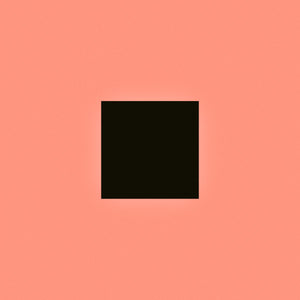 
                  
                    Load image into Gallery viewer, Bon Iver - SABLE fABLE
                  
                