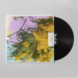 
                  
                    Load image into Gallery viewer, Four Tet - Into Dust (Still Falling)
                  
                