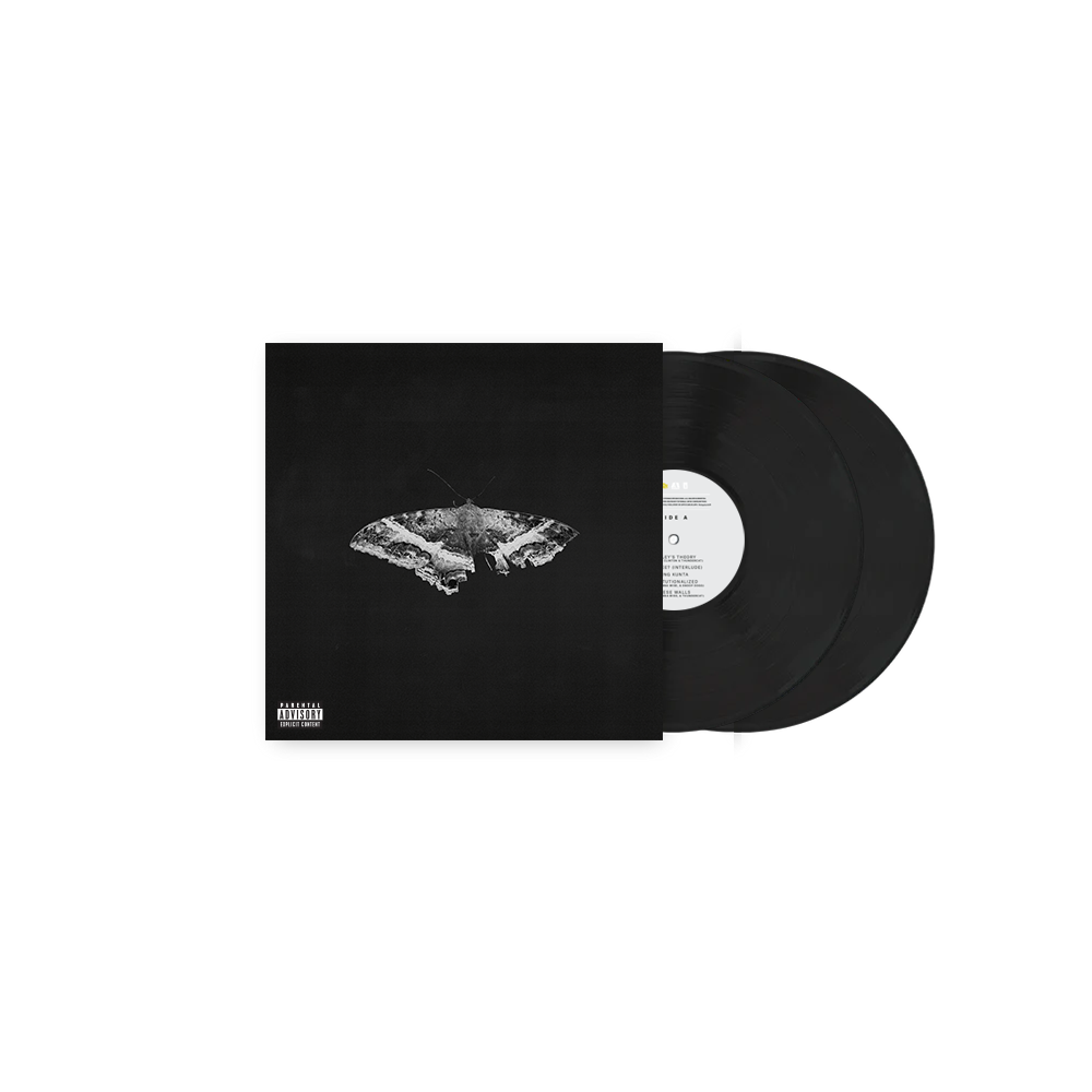 
                  
                    Load image into Gallery viewer, Kendrick Lamar - To Pimp A Butterfly (10th Anniversary Edition)
                  
                