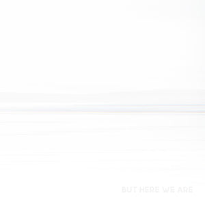 
                  
                    Load image into Gallery viewer, Foo Fighters - But Here We Are
                  
                