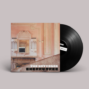 
                  
                    Load image into Gallery viewer, The National - Cherry Tree EP
                  
                