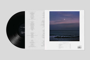 
                  
                    Load image into Gallery viewer, Damon Albarn - The Nearer The Fountain, More Pure The Stream Flows
                  
                