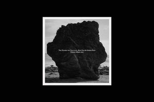 
                  
                    Load image into Gallery viewer, Damon Albarn - The Nearer The Fountain, More Pure The Stream Flows
                  
                