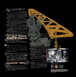 
                  
                    Load image into Gallery viewer, Sports Team - Plant Test (Indie Exclusive Black Vinyl LP)
                  
                