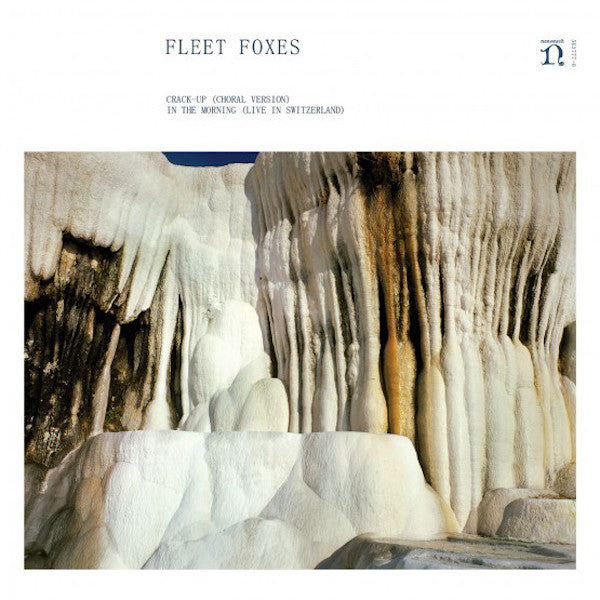 Fleet Foxes - Crack Up / In The Morning (RSD 2018)