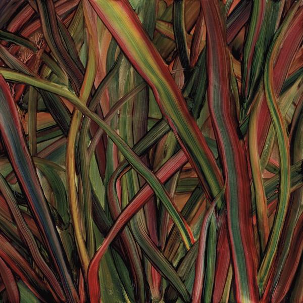 Gengahr - Where Wildness Grows