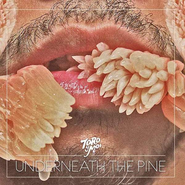Toro Y Moi - Underneath The Pine (10th Anniversary Pressing)