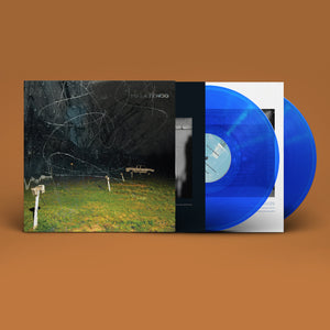 
                  
                    Load image into Gallery viewer, Yo La Tengo - This Stupid World
                  
                