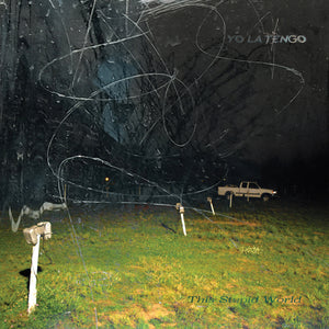 
                  
                    Load image into Gallery viewer, Yo La Tengo - This Stupid World
                  
                